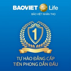 Bảo Việt Life