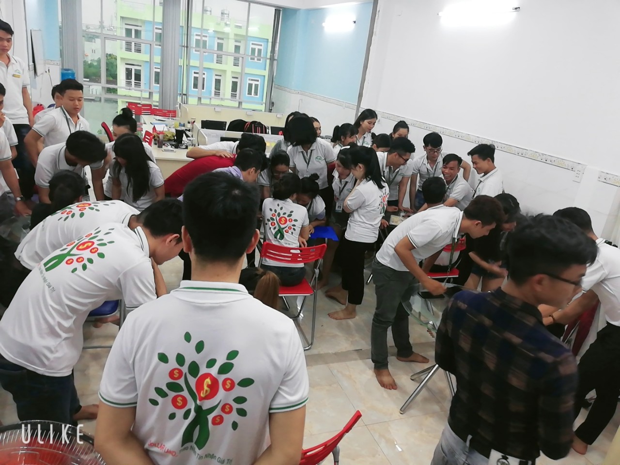 Công Ty TNHH Đầu Tư Và Phát Triển Dollarland