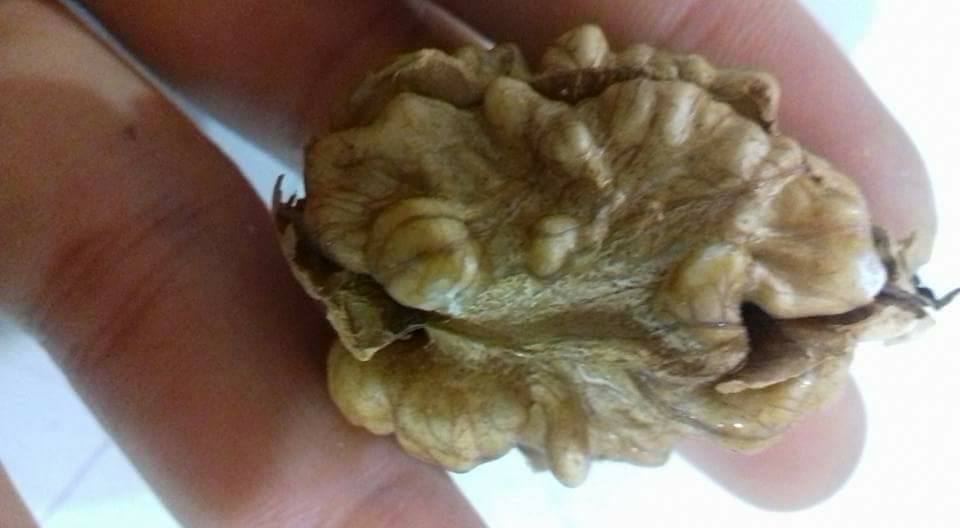 Công Ty TNHH Một Thành Viên - Thực Phẩm Thỏ Food