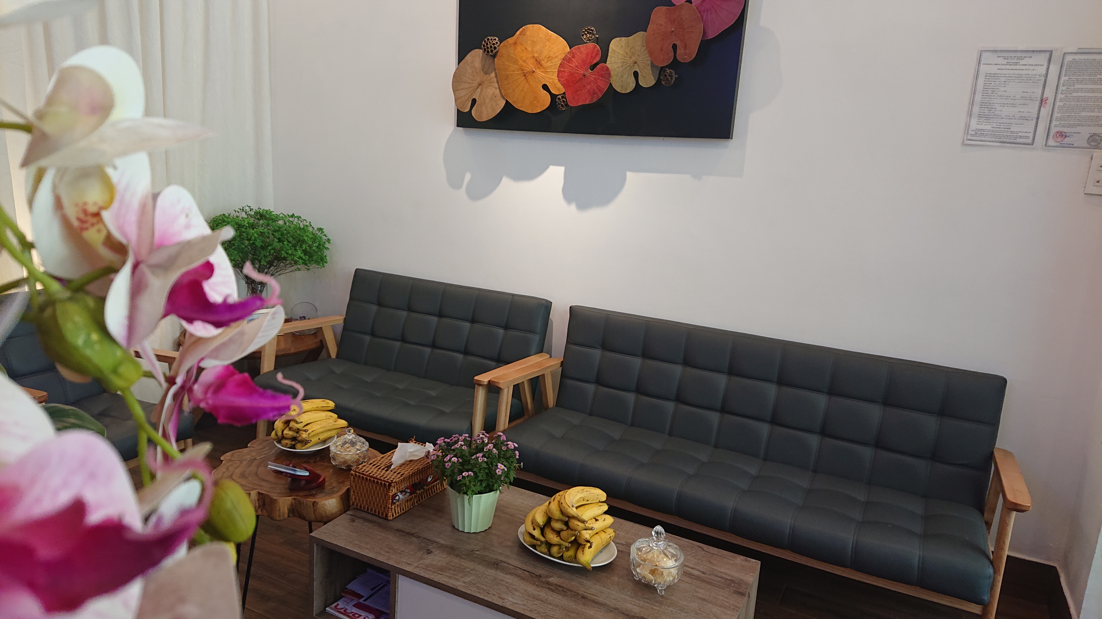 Tokyo Spa Massage Shiatsu Nhật Bản