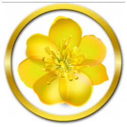 CÔNG TY TNHH IN VẢI KỸ THUẬT SỐ HOA MAI VÀNG