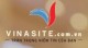 VINASITE