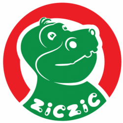 ZICZIC CORP