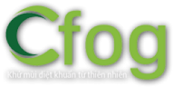Cfog Việt Nam
